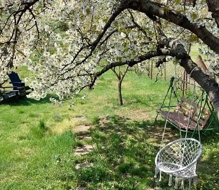 Erdoaljan Haziko Sukoró