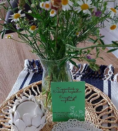 Erdoaljan Haziko Sukoró